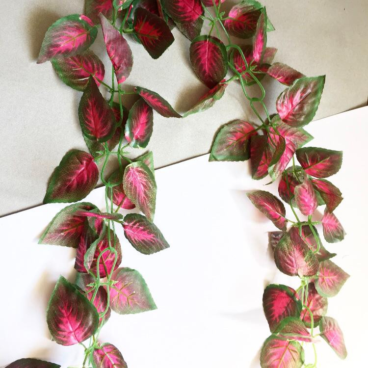 ریسه برگ  مصنوعی حسن یوسف